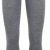 Icebreaker Tech Leggings 260 Women